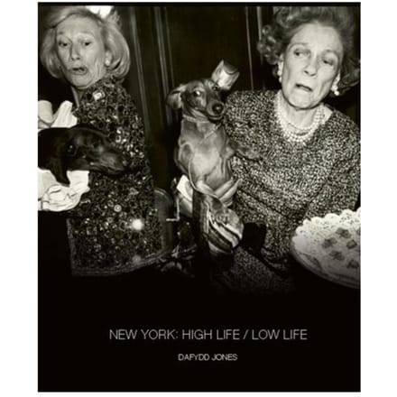 New York: High Life / Low Life - Dafydd Jones - Dafydd Jones
