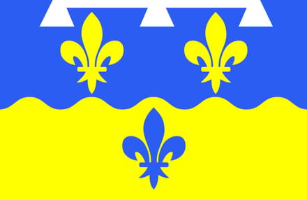 Vlag Loir-et-Cher 100x150cm