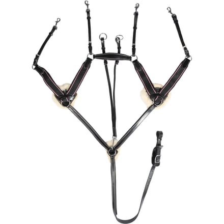 Vijfpunts halsband voor paard HKM