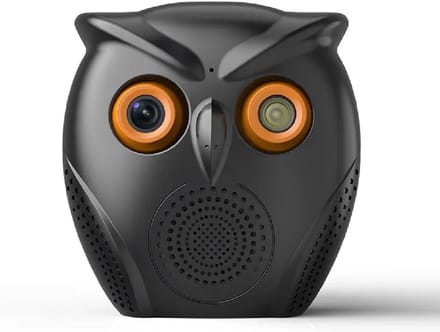 Slimme Binnen WLAN Camera met Persoonsherkenning en Nachtzicht