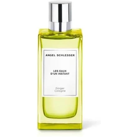 Angel Schlesser Les Eaux d'un Instant Ginger Cologne Eau de Toilette 100 ml for unisex beige