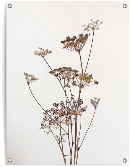 Tuinposter Bereklauw - 80 x 60 - Canvas - REINDERS