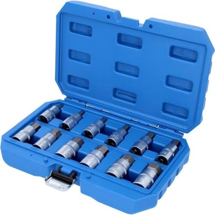 BRILLIANT TOOLS 1/2" Inbus Bit-dopsleutelset 12-delig. 5 - 22 mm - BT022012