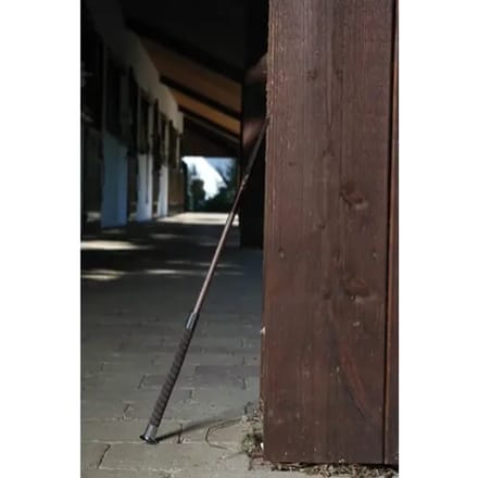 Rijdende zweep Equipage