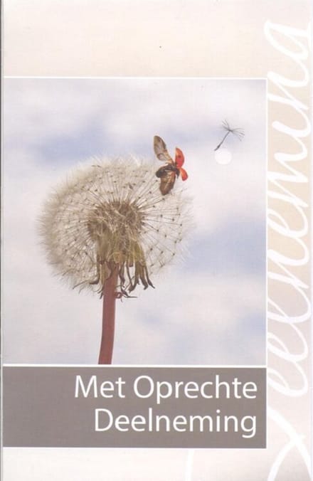 Condoleance Wenskaart - Met Oprechte Deelneming - D13485 - Gratis verzonden