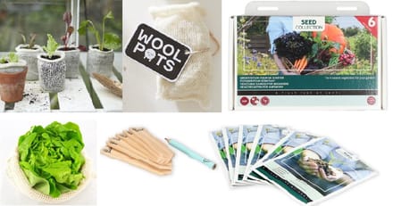 Wool Pots met 6 soorten groenten zaden