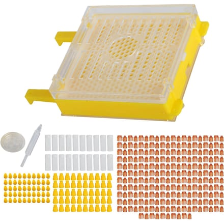 Kit de système d'apiculture Boîte de système d'élevage de reines d'abeilles Kit de greffage d'élevage de boîtes d'apiculture beige