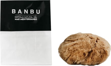 Banbu - Natuurlijke spons - Middellandse Zee - Gezicht