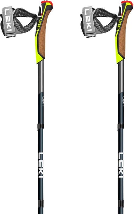 Leki Traveller Fx One Carbon Stokken Zilver 120 cm
