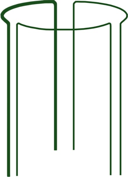 Bradas - Plantensteun - Ringvorm - Modulaire Constructie - Staal