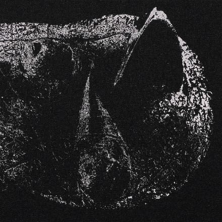 Demon Head - Viscera (LP)