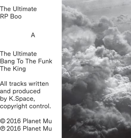 The Ultimate (12" Vinyl Single)
