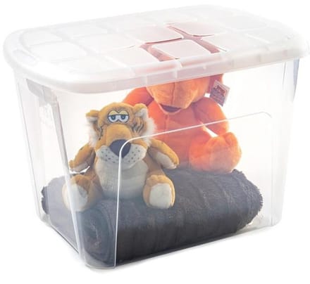 Plasticforte Opbergkist met deksel - Multi Purpose Box - 75 liter - 60x42x43 cm - kunststof - transparant