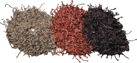 Spriet elastiek bruine tinten - Herfst - Herfstkleuren