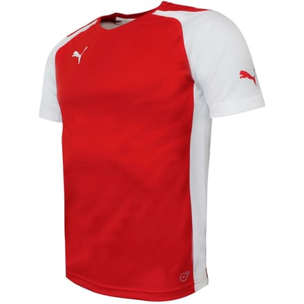Puma Speed Jersey Training Sport T-shirt Rood - Heren