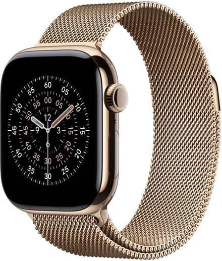 Apple MGJ04ZM/A slimme draagbare accessoire Band Goud Roestvrijstaal - 42mm