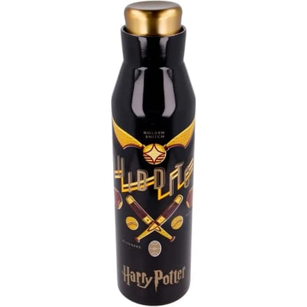 Roestvrijstalen thermosfles Stor Harry Potter