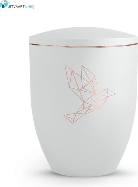 Urn velvet duif - bio
