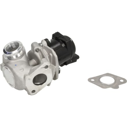 Borg Warner EGR-klep WAHLER 711021D