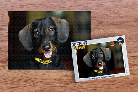 Puzzel Schattige zwarte Teckel - Legpuzzel - Puzzel 1000 stukjes volwassenen