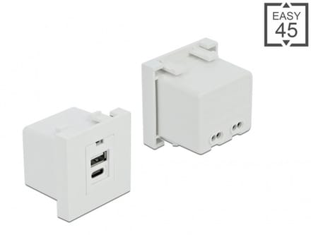 Delock Easy 45 USB Charging Port Module 1 x Type-A + 1 x USB Type-C™