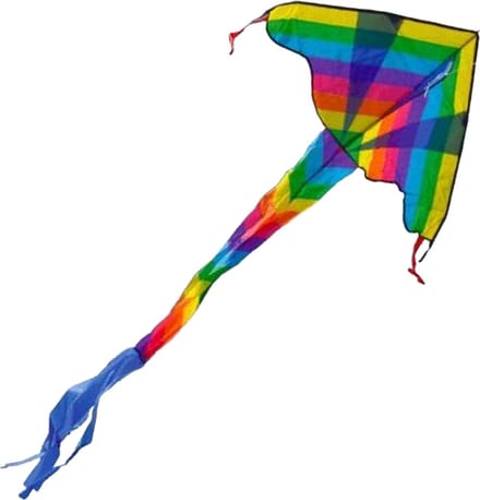 Vlieger dragon kite Rainbow