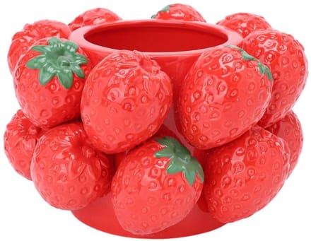 House of Nature Vaas Strawberry Delight 14cm