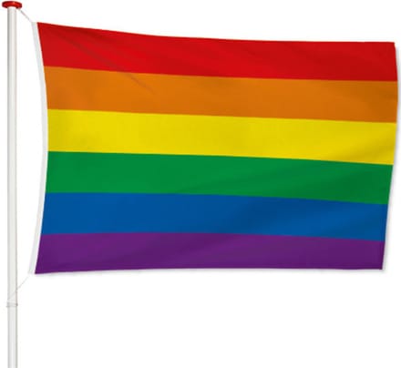 Regenboogvlag - 150x90cm