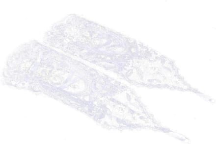 Kanten bruidshandschoenen - Vingerloos - Hand Ornamenten - Wit - Bruiloftaccessoires
