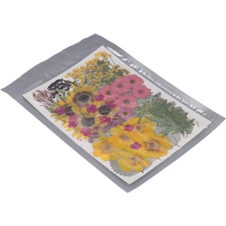 100 Stuks Gedroogde Geperste Bloemen 13 Soorten Natuurlijke Gedroogde Bloemen met 2 Stickers voor Scrapbooking Kaars gray