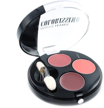 Bourjois Colorissimo Lip Palette - 04 Nudes Dandy