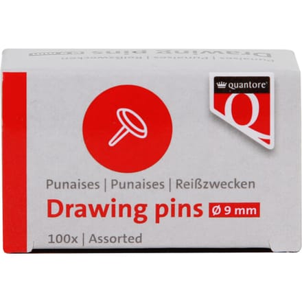 Punaises Quantore 100 stuks assorti