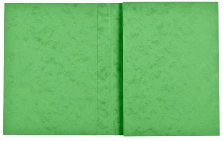 Exacompta 80x Schriftomslag in glanskarton 265g - 24x32 cm - Lindengroen - 35123E