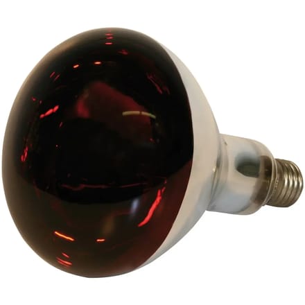 Glazen infrarood lamp Kerbl