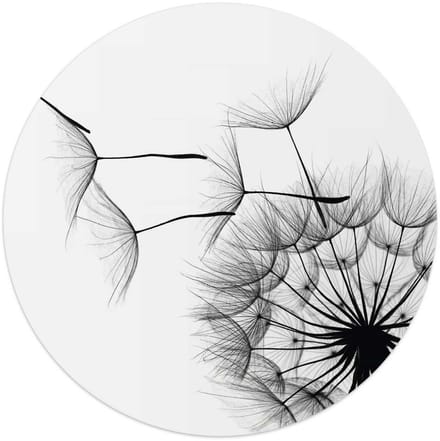 Plexiglasschilderij Paardenbloem - Ø 50 - Acrylglas - REINDERS