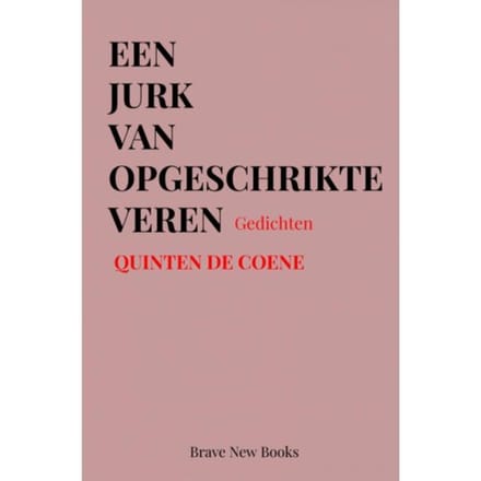 Een Jurk Van Opgeschrikte Veren - Quinten De Coene