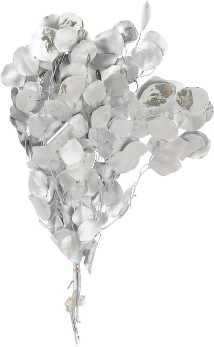 J-Line droogbloemen Eucalyptus - riet - zilver