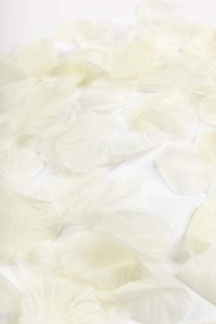 500x Rozenblaadjes Cremé - Feest Thema Bruiloft Rozen