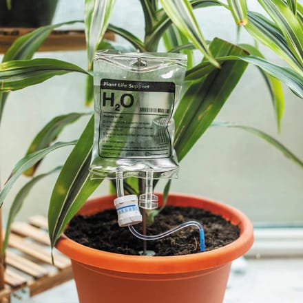 BubbleGum Stuff - Mini plant support