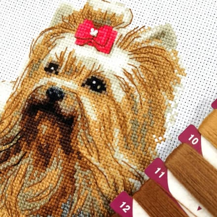 RIOLIS Yorkshire Terrier borduren (pakket) 2152