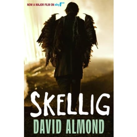 Skellig - David Almond