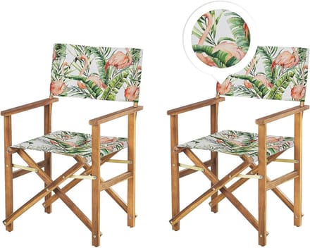 Opklapbare Tuinstoelen - Zetels Tuin - Zomerse Ontspanning - Verstelbare Rugleuning - Set van 2 - Grijs