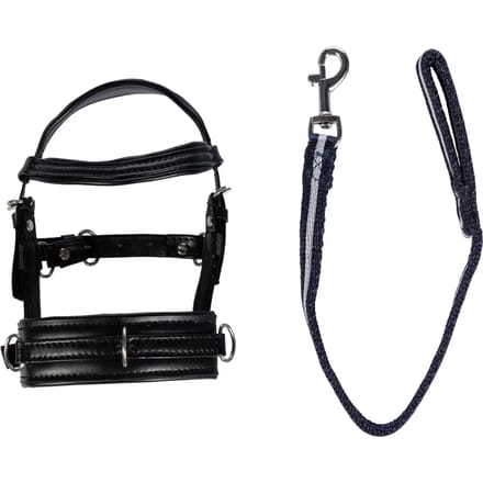Set voor lange knuffel HKM Kids