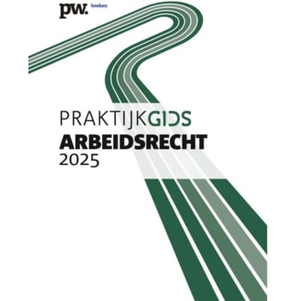 Praktijkgids Arbeidsrecht 2025 - P. Willems