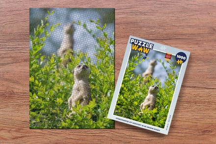 Puzzel Struiken - Stokstaartje - Dier - Legpuzzel - Puzzel 1000 stukjes volwassenen