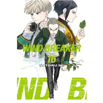Wind Breaker 16 - Wind Breaker - Satoru Nii