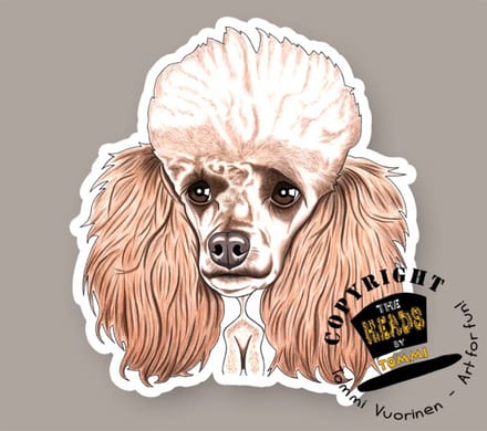 Magneet Hond Miniature Poedel