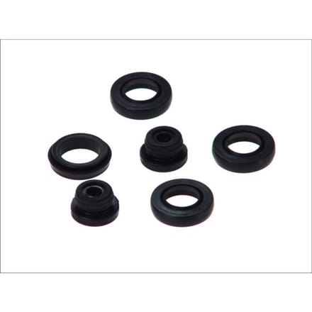 Reparatieset, hoofdremcilinder AUTOFREN SEINSA D1481