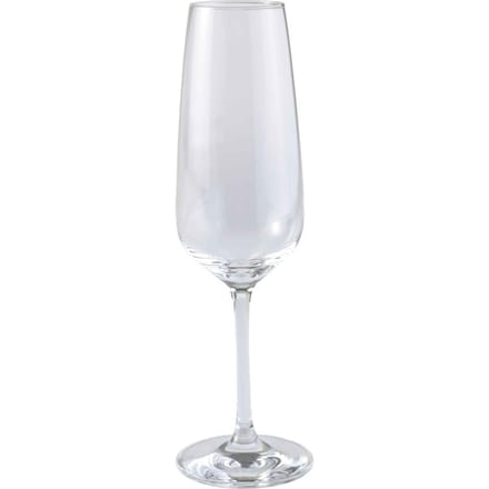 Vivo Voice Basic Champagneglas 28 cl - 4 stuks