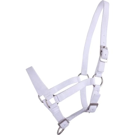 Q-essentials Veulenhalster Q-essentials Mini Wit